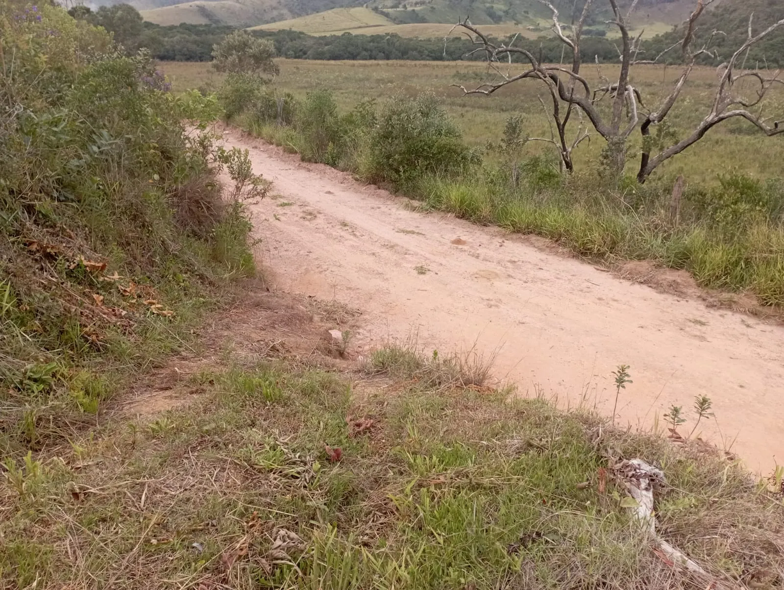 Fazenda à venda de 98 ha em Liberdade, MG, Brasil