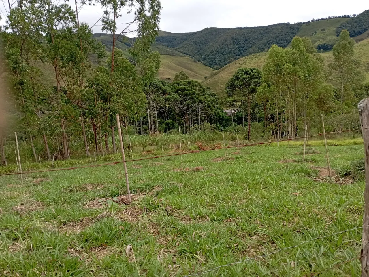 Fazenda à venda de 98 ha em Liberdade, MG, Brasil