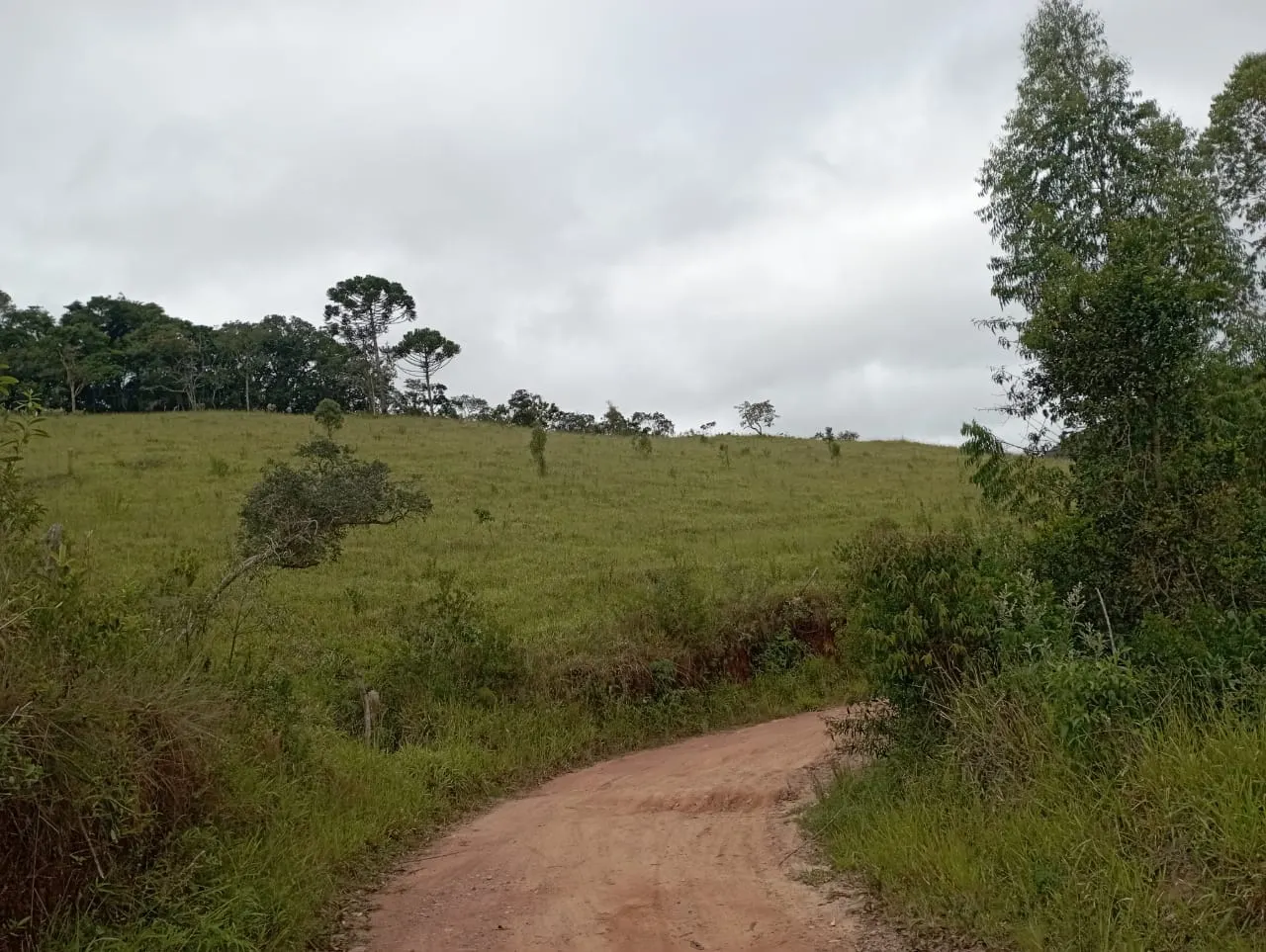 Fazenda à venda de 98 ha em Liberdade, MG, Brasil