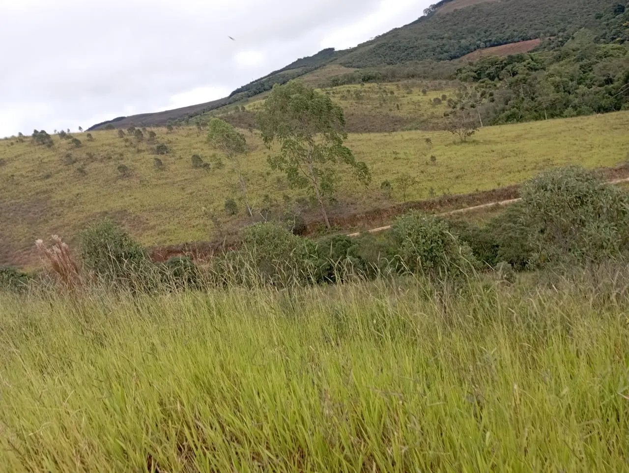 Fazenda à venda de 98 ha em Liberdade, MG, Brasil