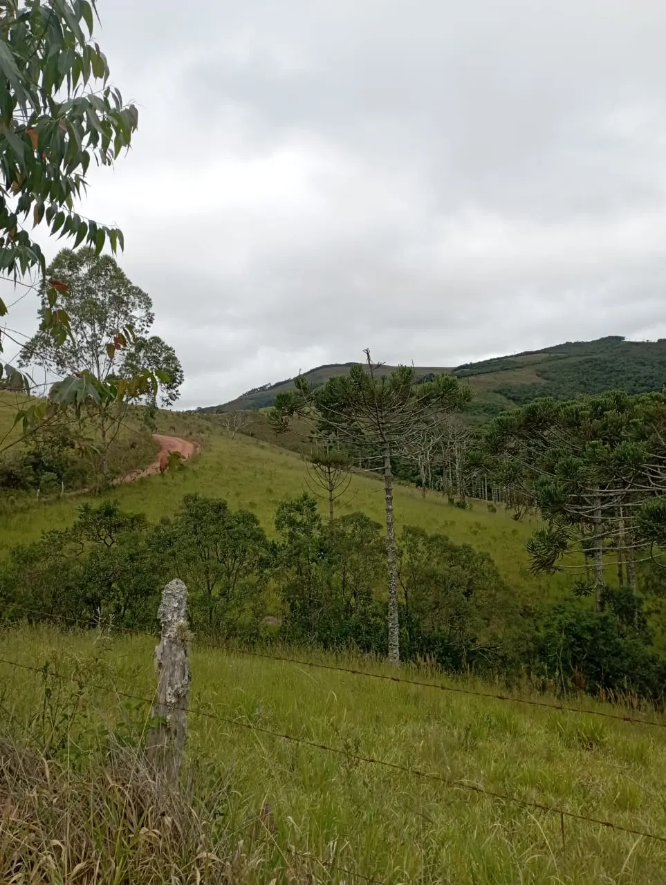 Fazenda à venda de 98 ha em Liberdade, MG, Brasil