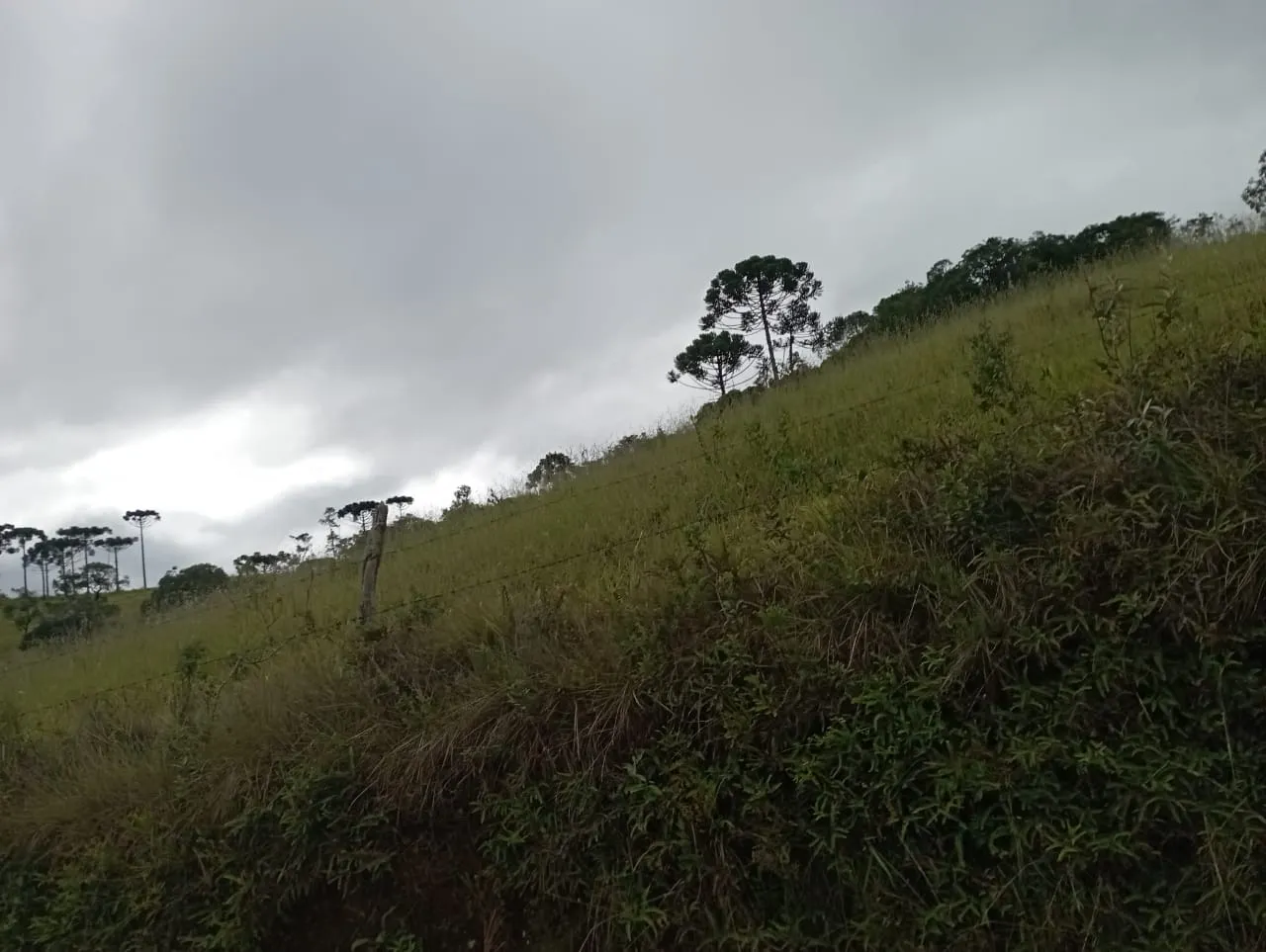 Fazenda à venda de 98 ha em Liberdade, MG, Brasil