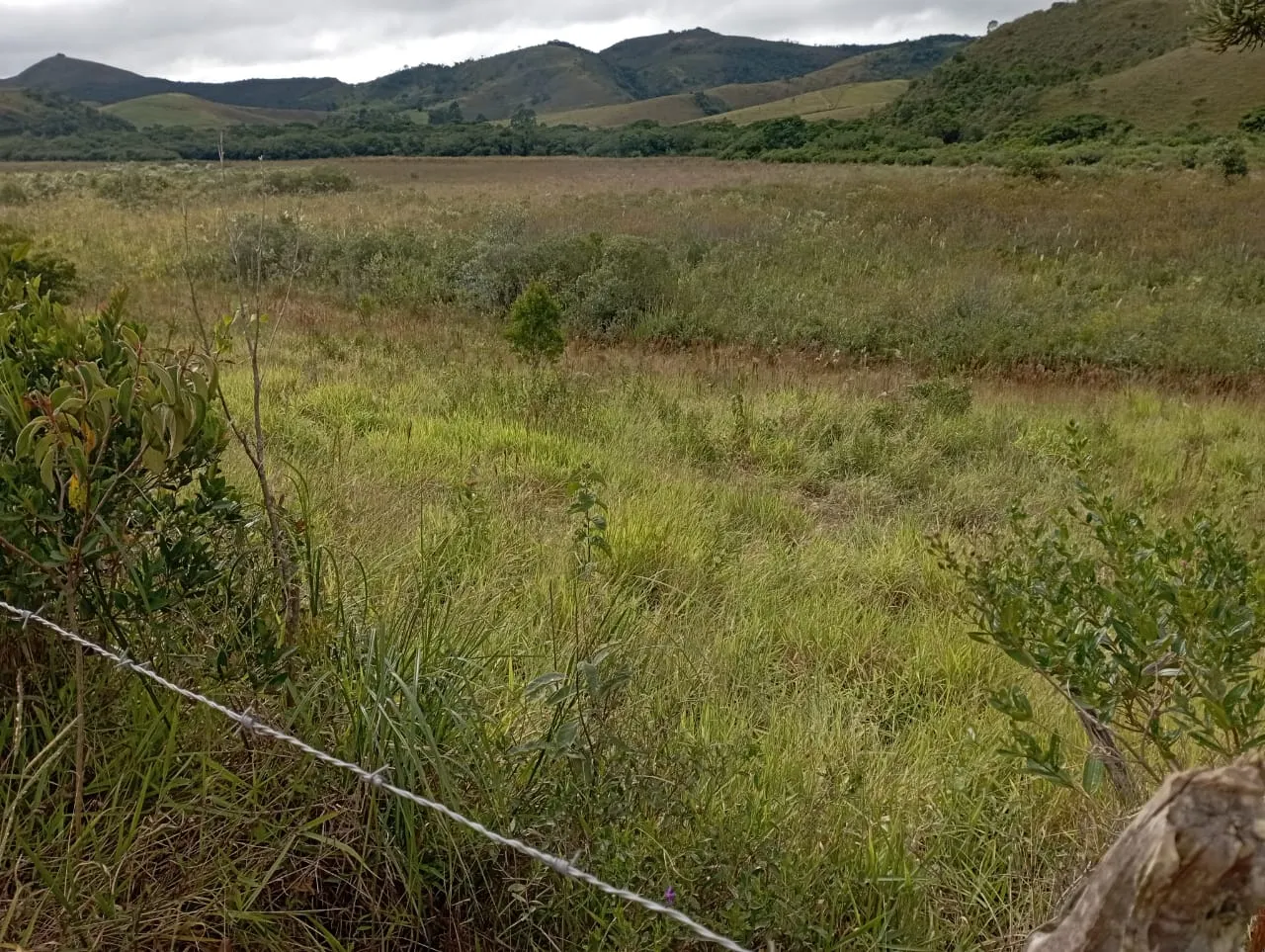 Fazenda à venda de 98 ha em Liberdade, MG, Brasil