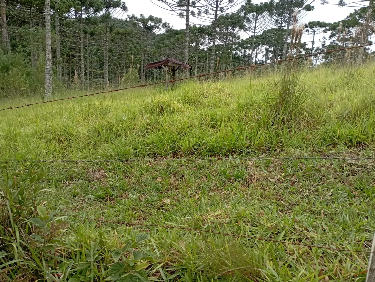 Fazenda à venda de 98 ha em Liberdade, MG, Brasil