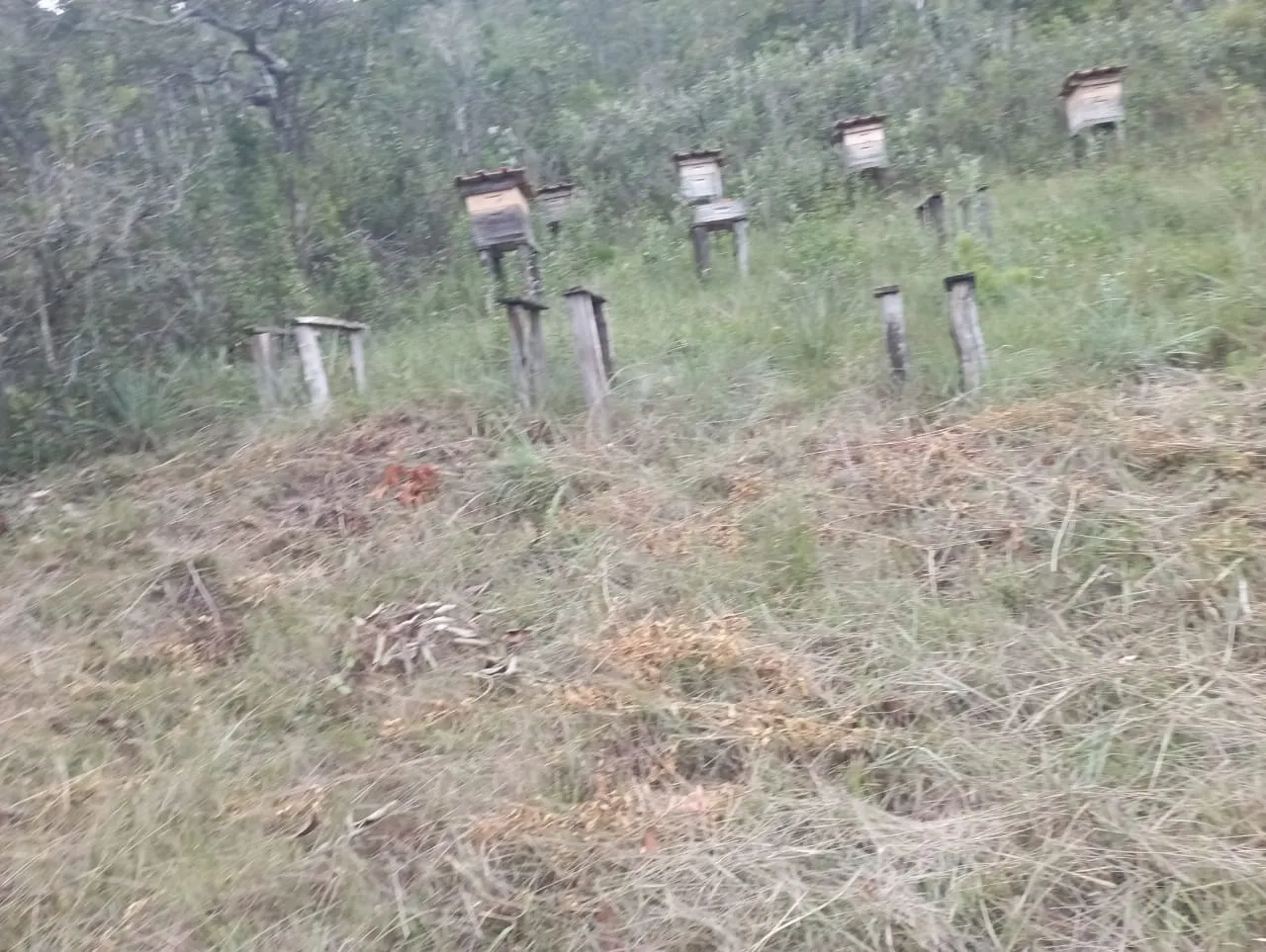 Fazenda à venda de 98 ha em Liberdade, MG, Brasil