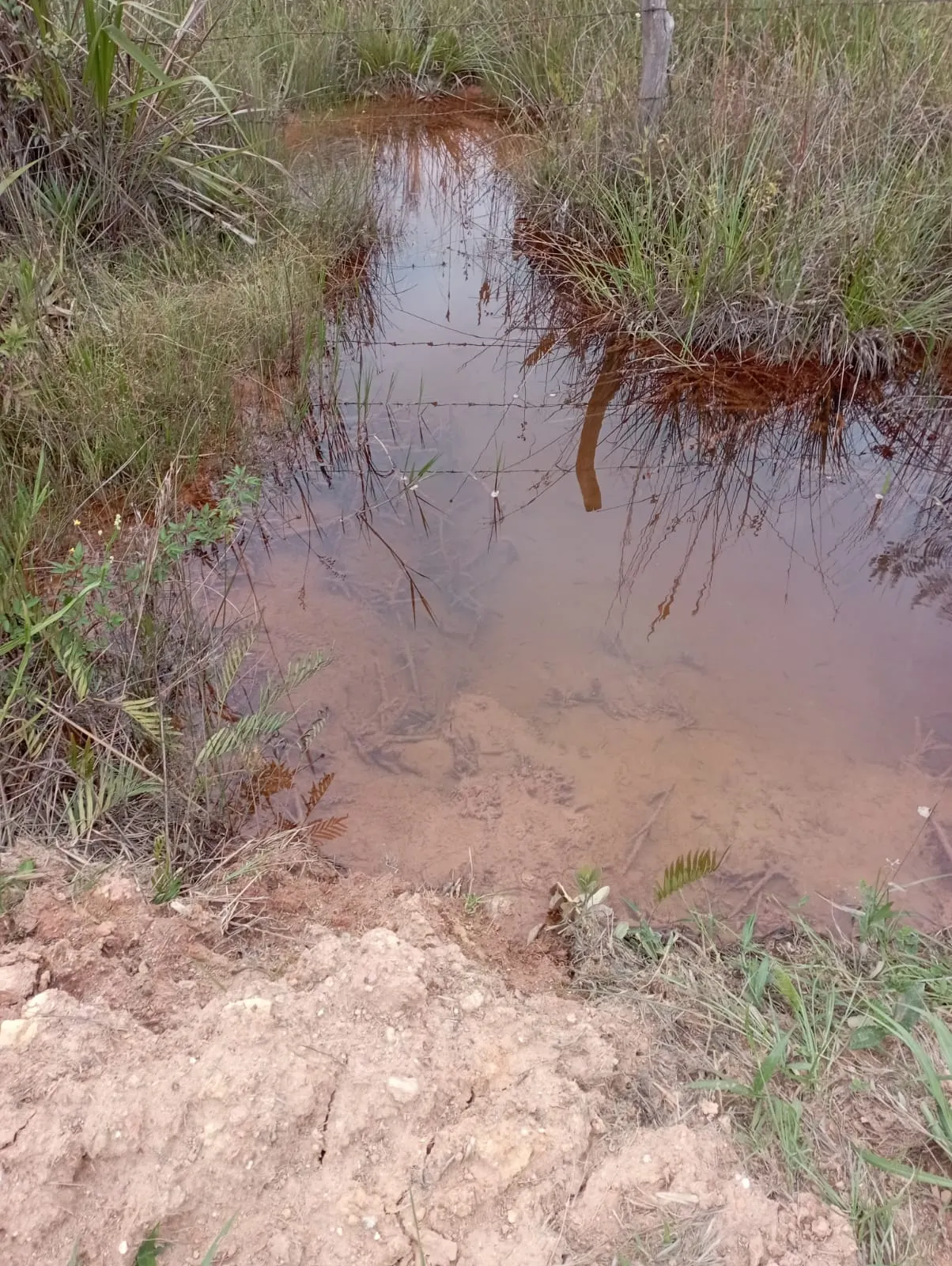 Fazenda à venda de 98 ha em Liberdade, MG, Brasil