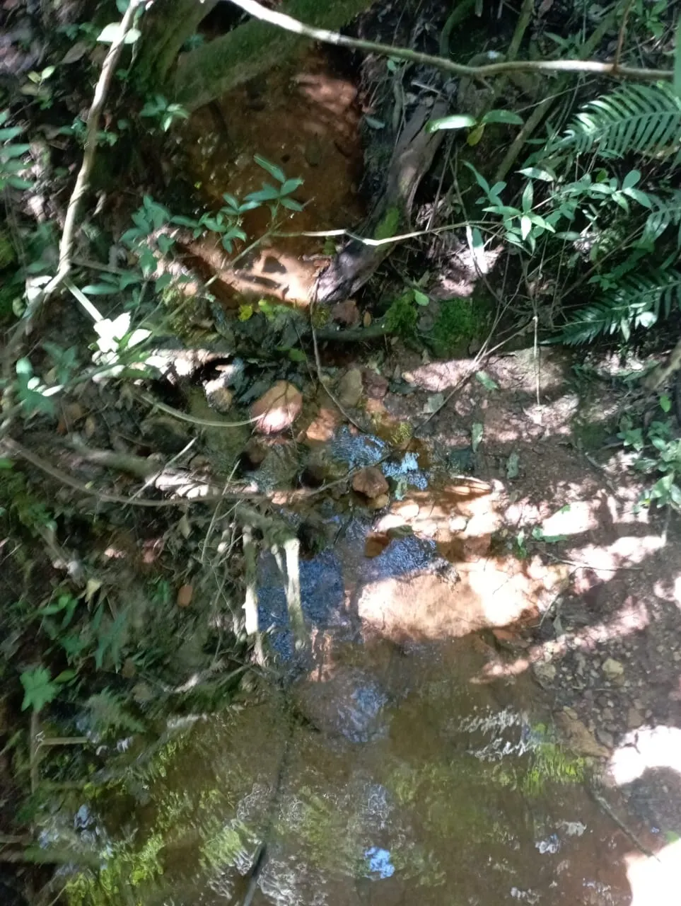 Fazenda à venda de 98 ha em Liberdade, MG, Brasil
