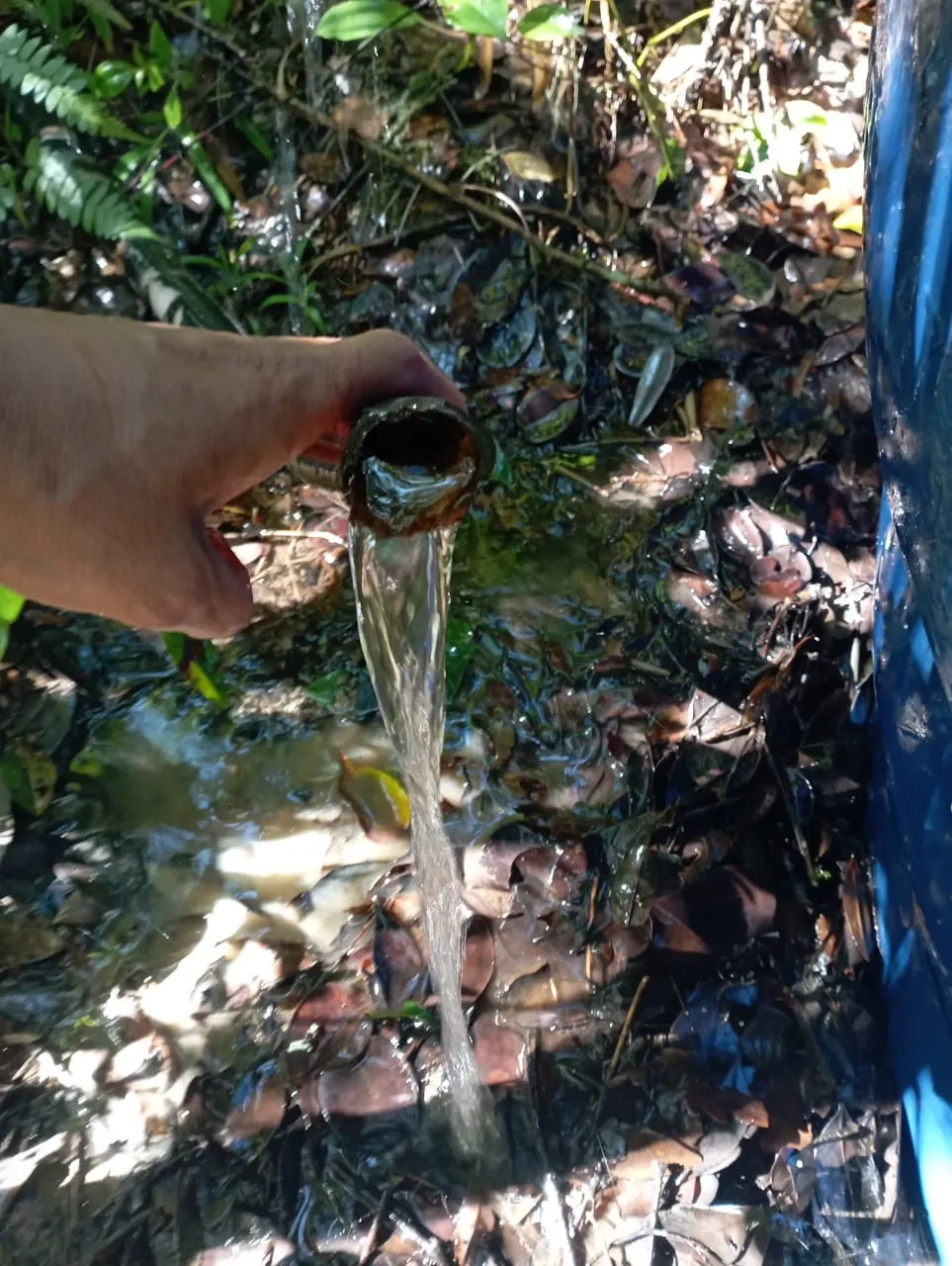Fazenda à venda de 98 ha em Liberdade, MG, Brasil