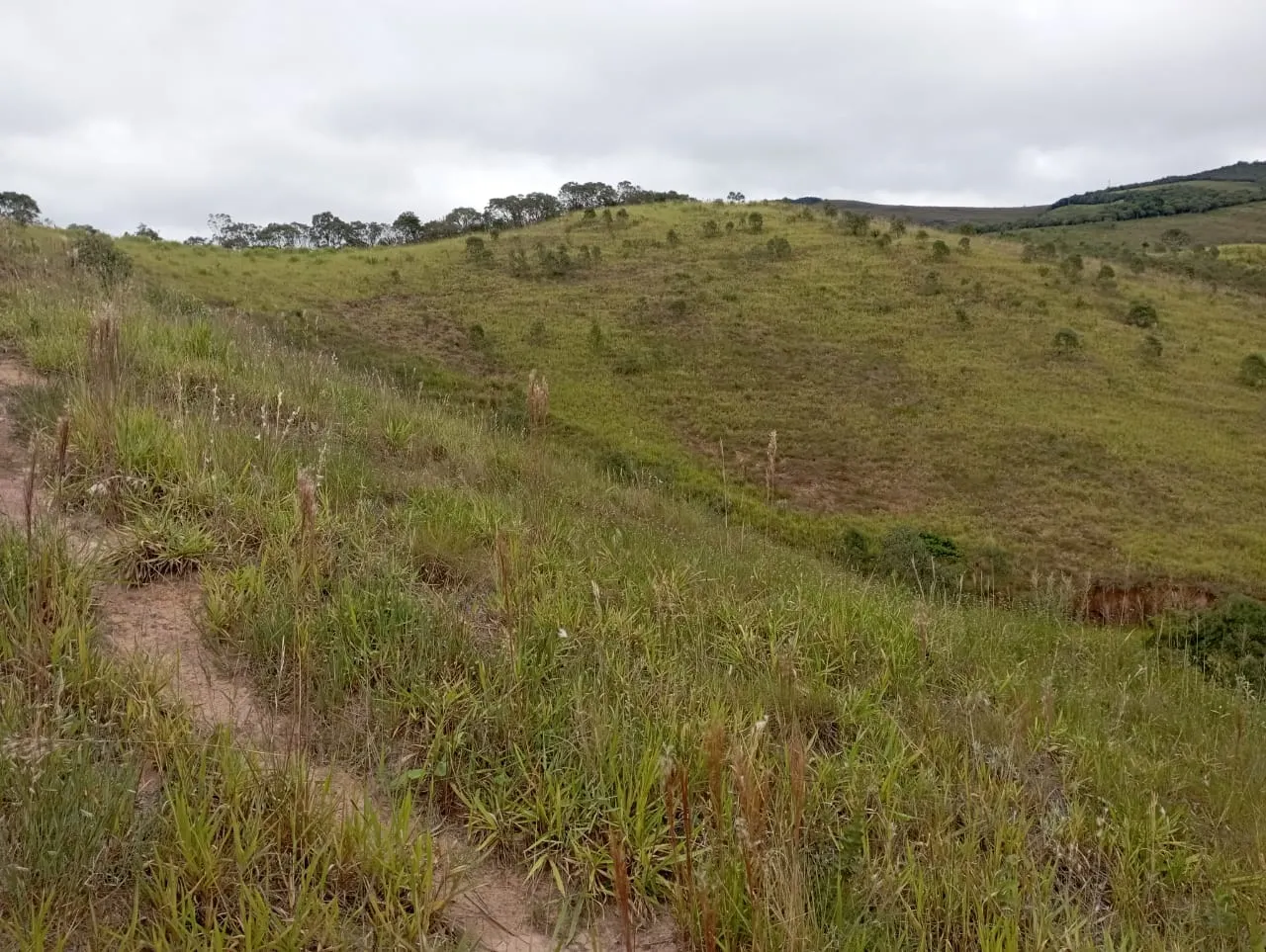Fazenda à venda de 98 ha em Liberdade, MG, Brasil