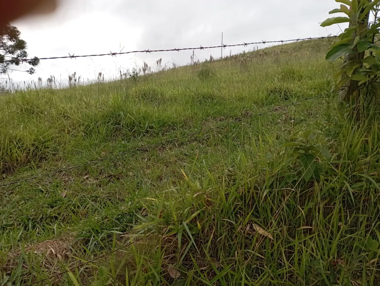 Fazenda à venda de 98 ha em Liberdade, MG, Brasil