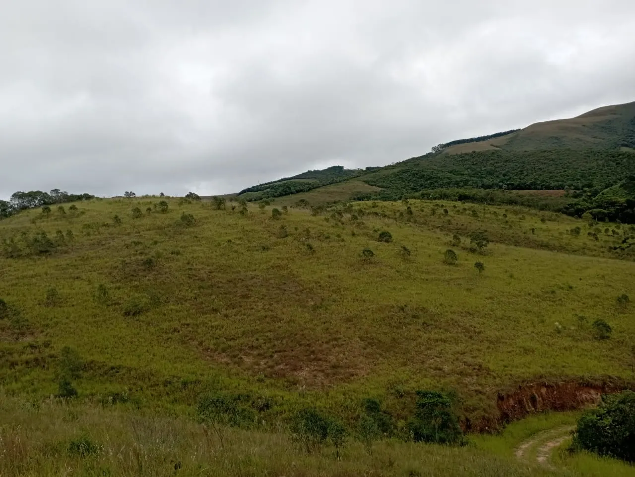 Fazenda à venda de 98 ha em Liberdade, MG, Brasil