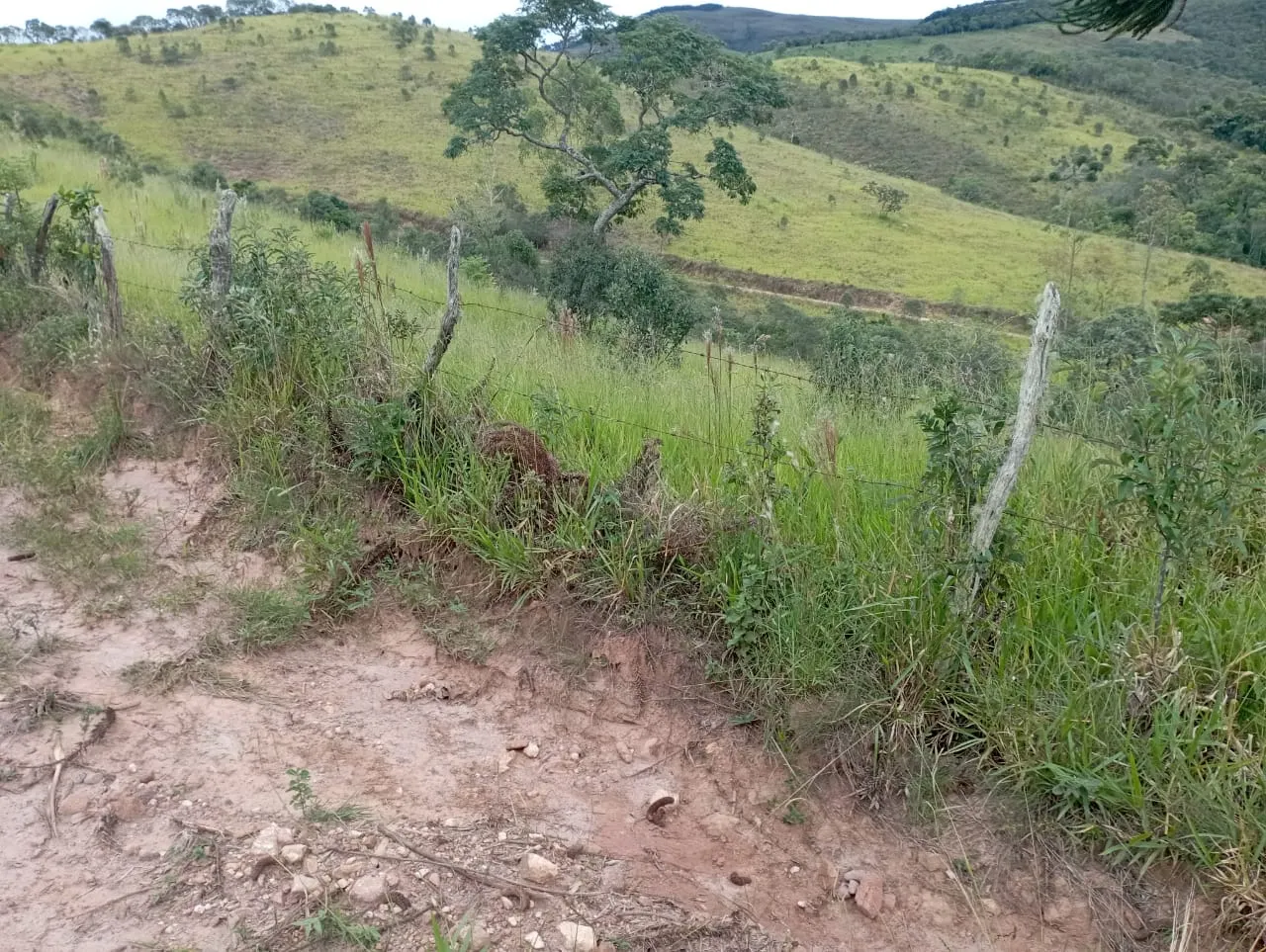 Fazenda à venda de 98 ha em Liberdade, MG, Brasil