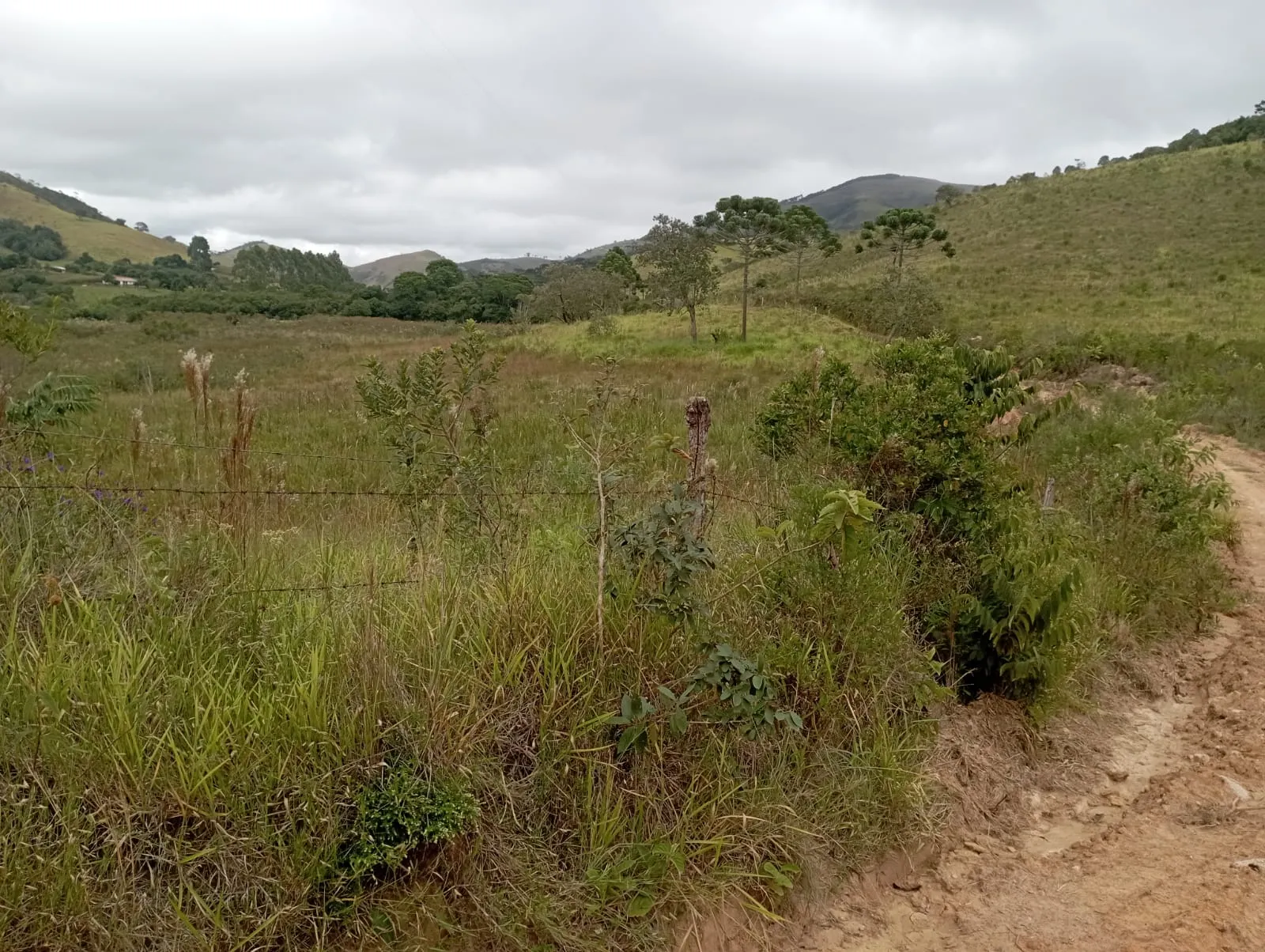 Fazenda à venda de 98 ha em Liberdade, MG, Brasil