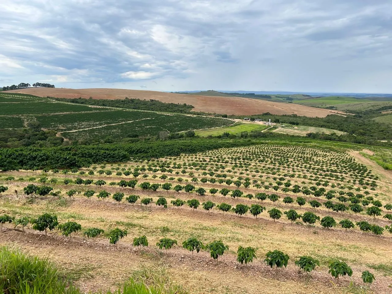 Fazenda à venda de 207 ha em Capitólio, MG, Brasil
