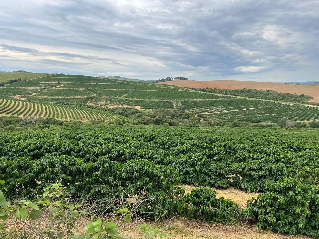Fazenda à venda de 207 ha em Capitólio, MG, Brasil