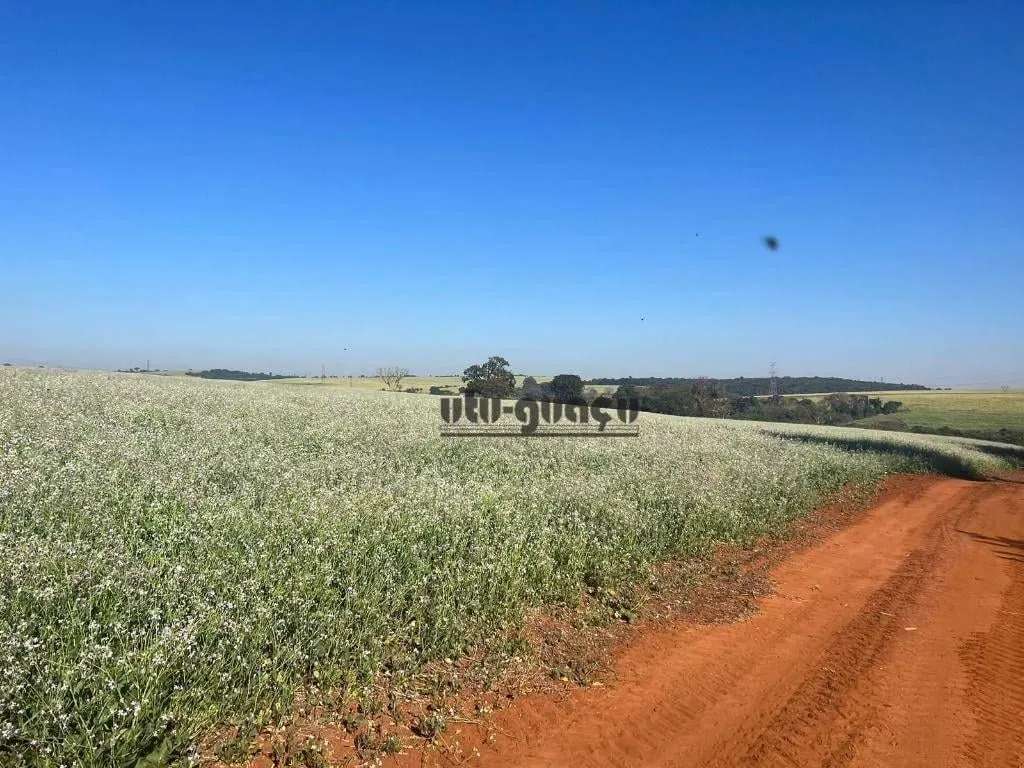 Fazenda à venda de 315 ha em Lençóis Paulista, SP, Brasil