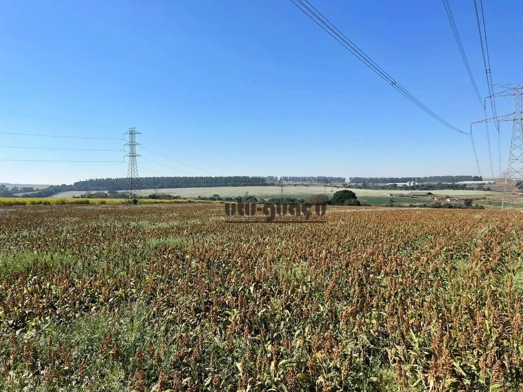 Fazenda à venda de 315 ha em Lençóis Paulista, SP, Brasil