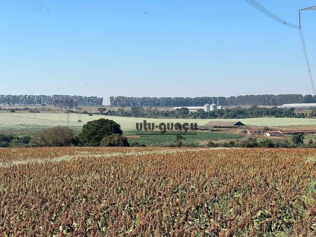 Fazenda à venda de 315 ha em Lençóis Paulista, SP, Brasil