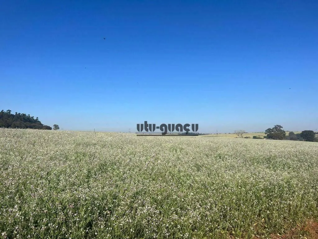 Fazenda à venda de 315 ha em Lençóis Paulista, SP, Brasil