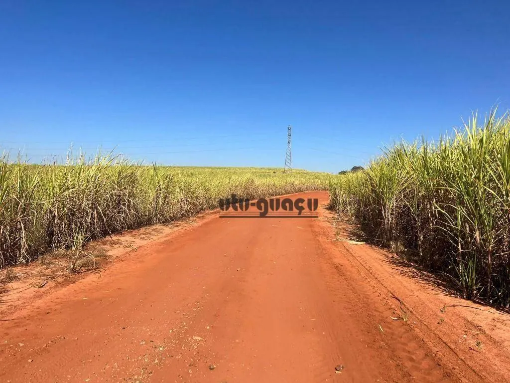 Fazenda à venda de 315 ha em Lençóis Paulista, SP, Brasil