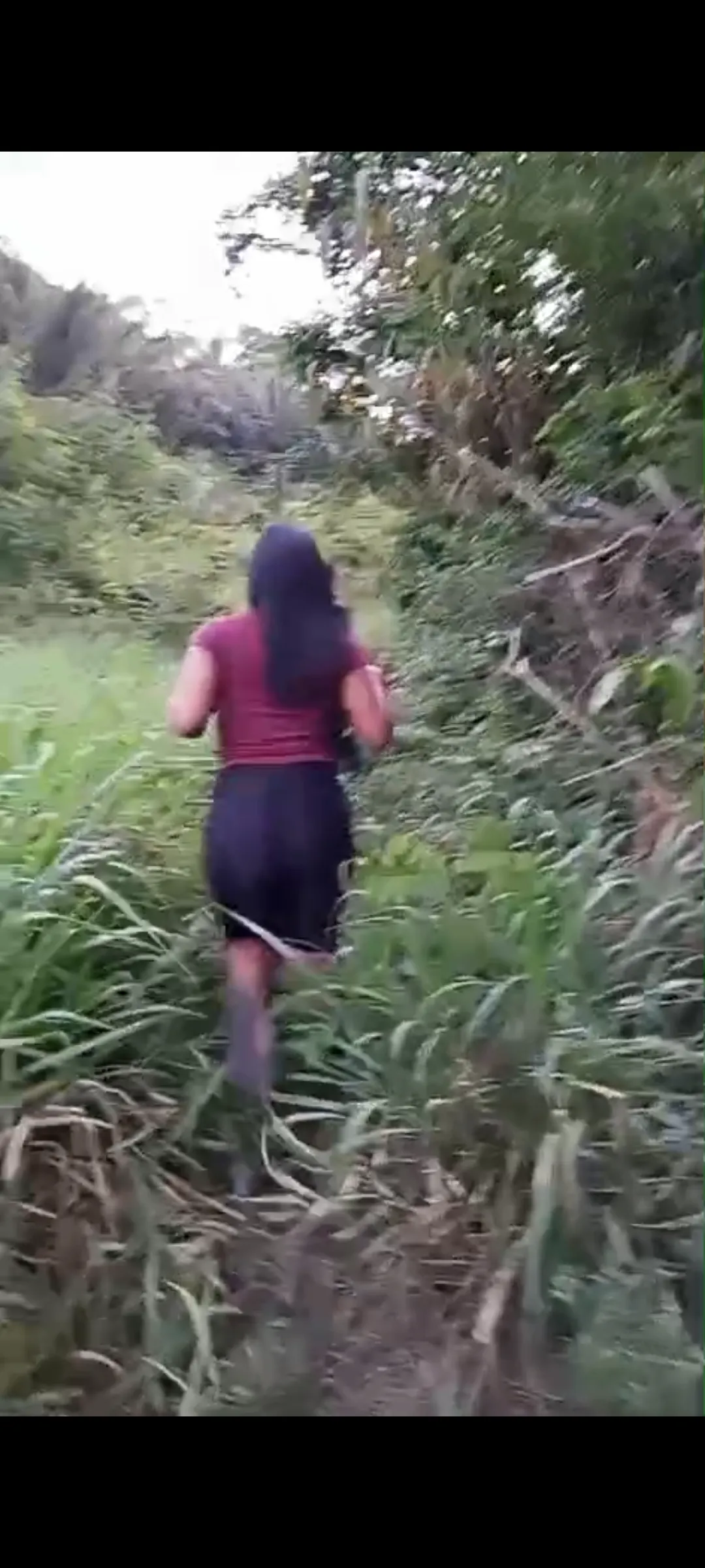 Terreno à venda de 37.000 ha em Santarém, PA, Brasil