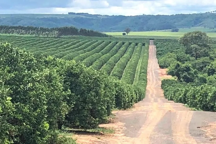 Fazenda à venda e para Arrendar de 968 ha em Marília, SP, Brasil