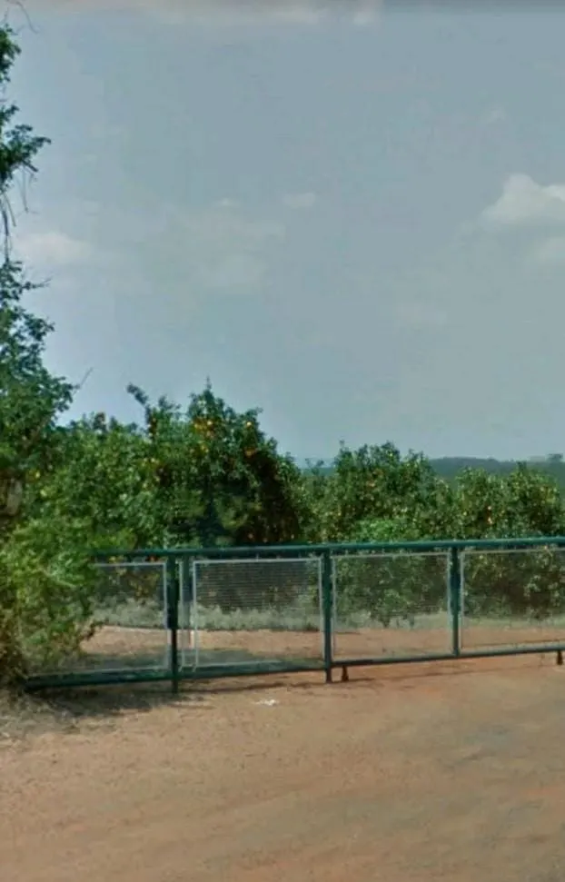 Fazenda à venda e para Arrendar de 968 ha em Marília, SP, Brasil