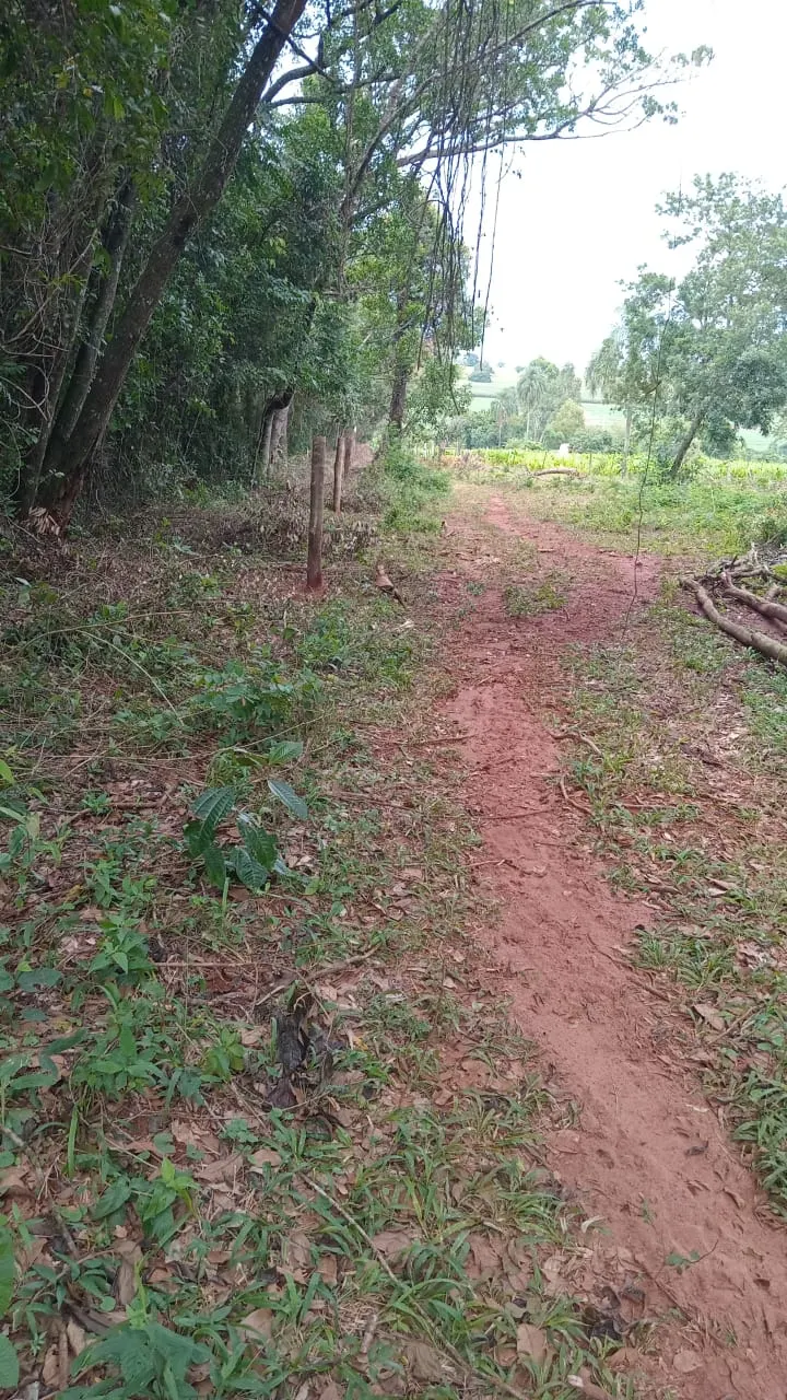 Small farm for sale of 48 acres in Avaré, SP, Brazil