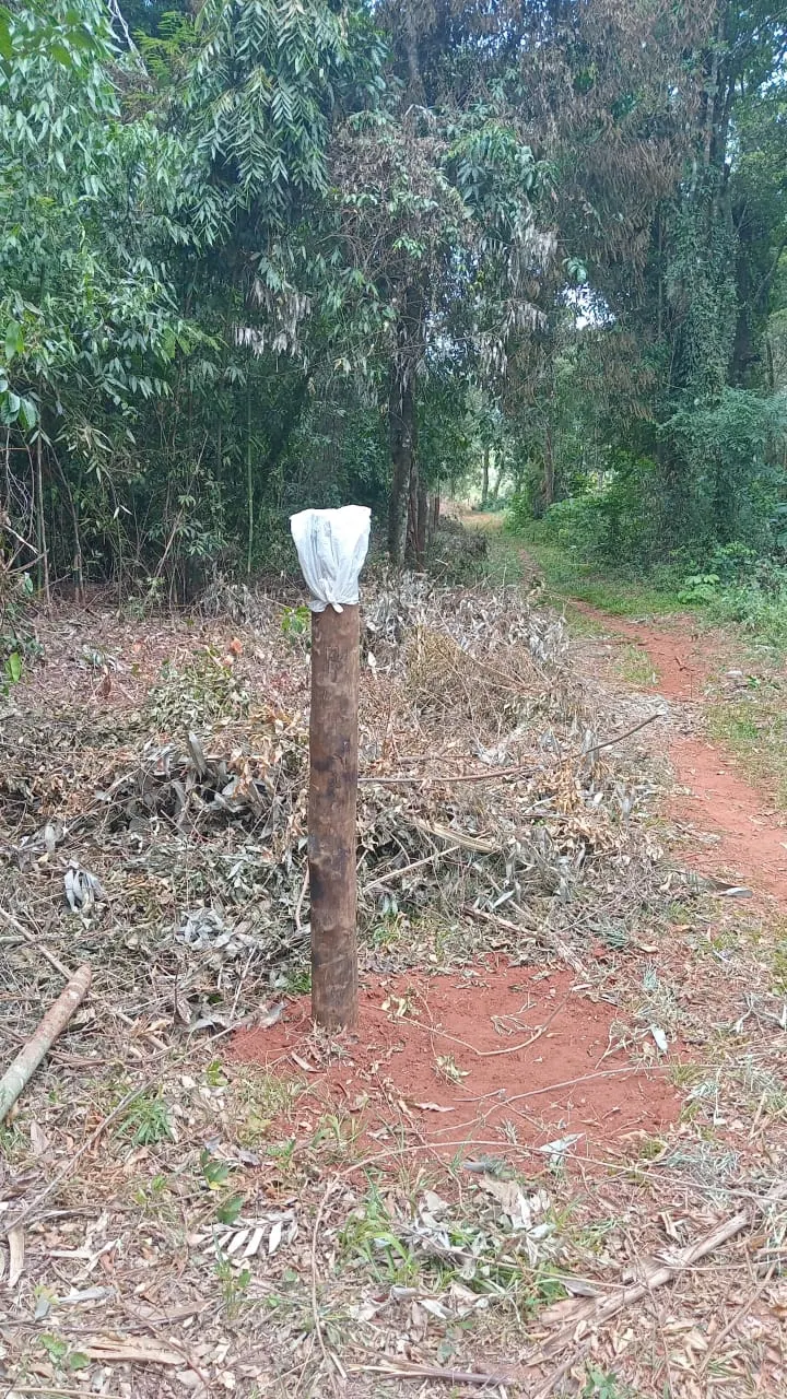 Small farm for sale of 48 acres in Avaré, SP, Brazil
