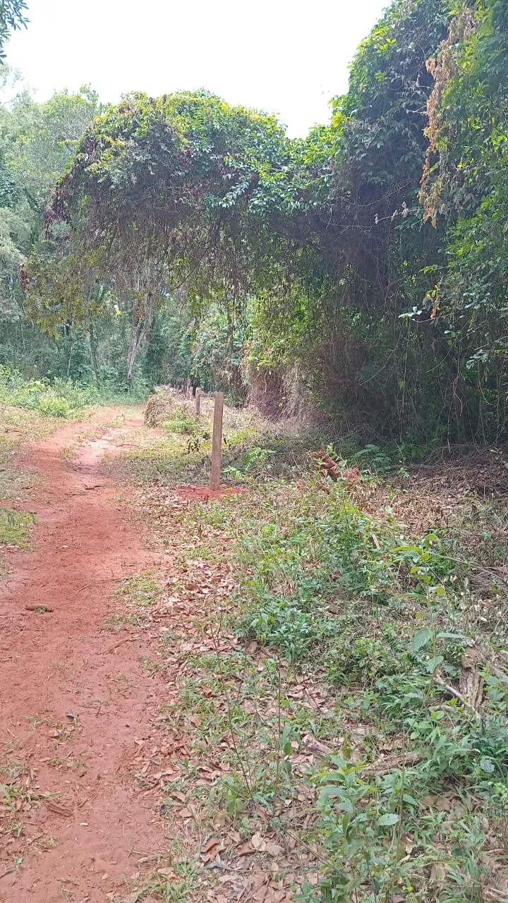 Small farm for sale of 48 acres in Avaré, SP, Brazil