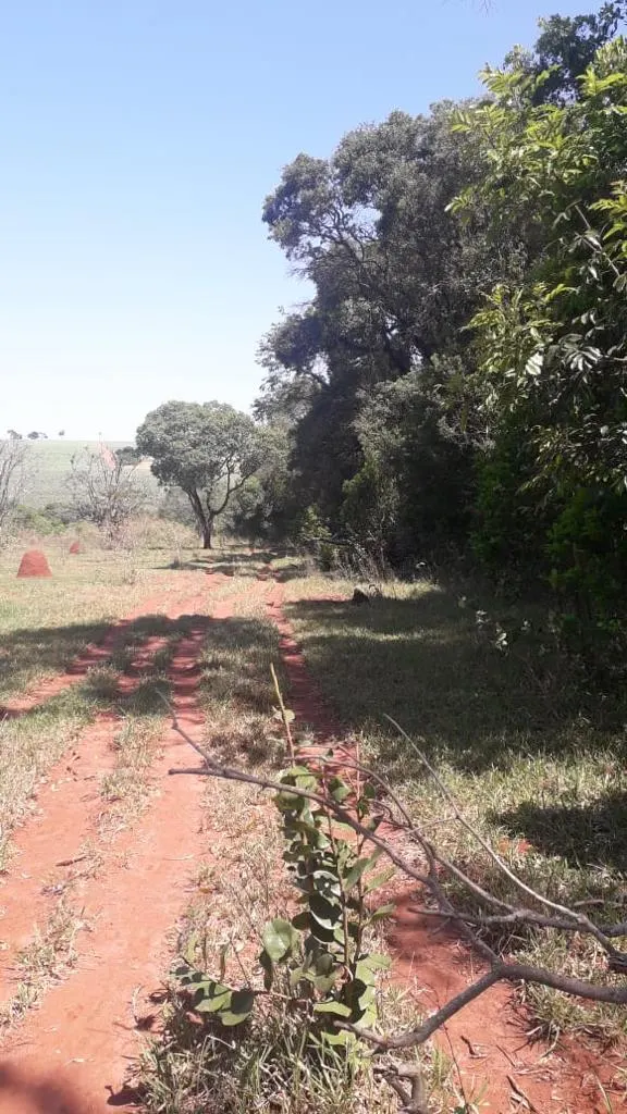 Small farm for sale of 48 acres in Avaré, SP, Brazil