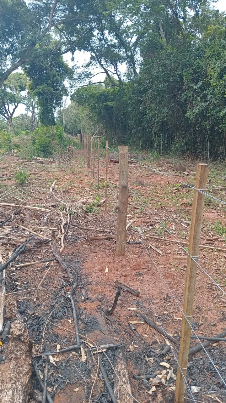 Small farm for sale of 48 acres in Avaré, SP, Brazil