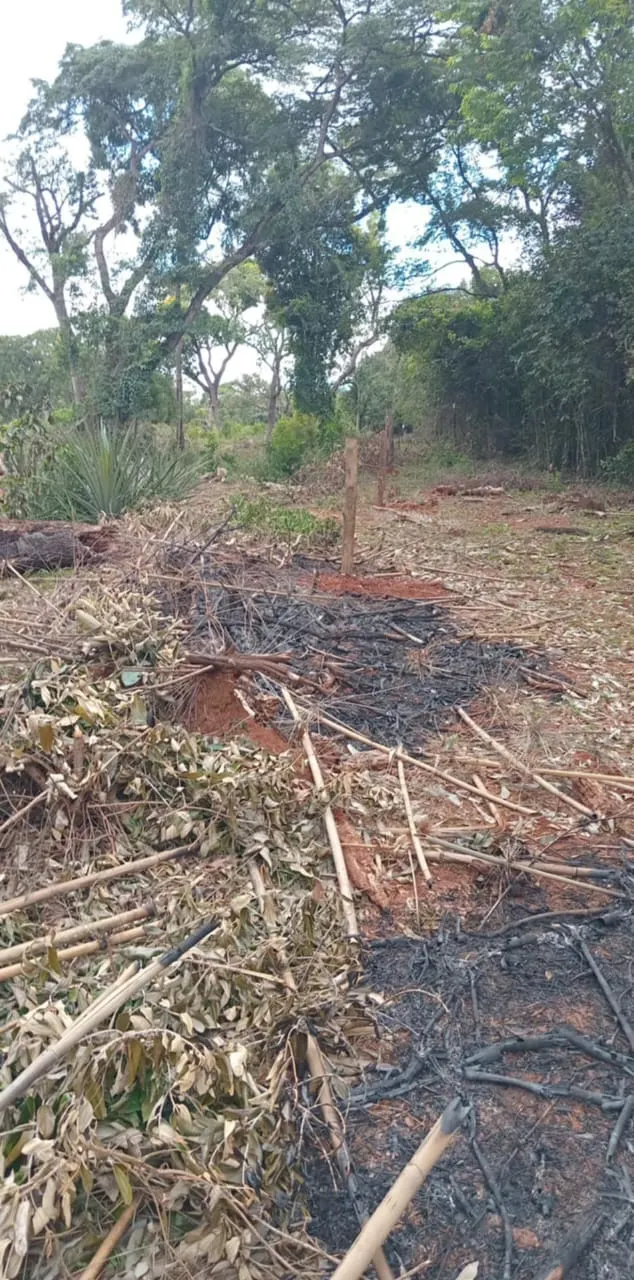 Small farm for sale of 48 acres in Avaré, SP, Brazil