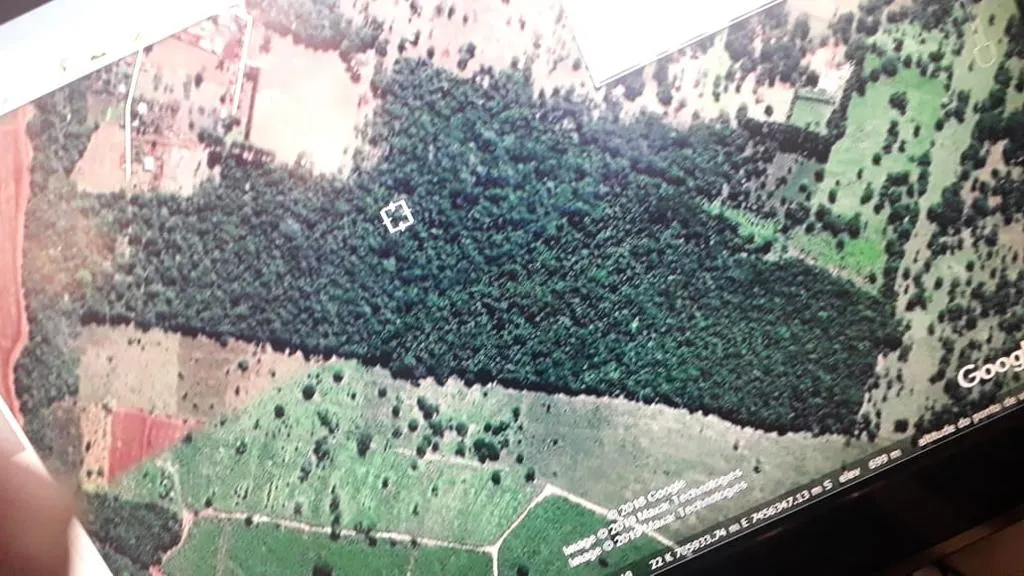 Small farm for sale of 48 acres in Avaré, SP, Brazil