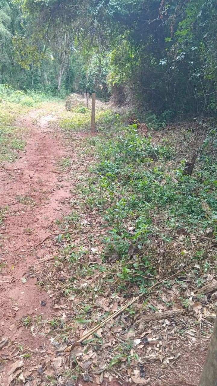 Small farm for sale of 48 acres in Avaré, SP, Brazil