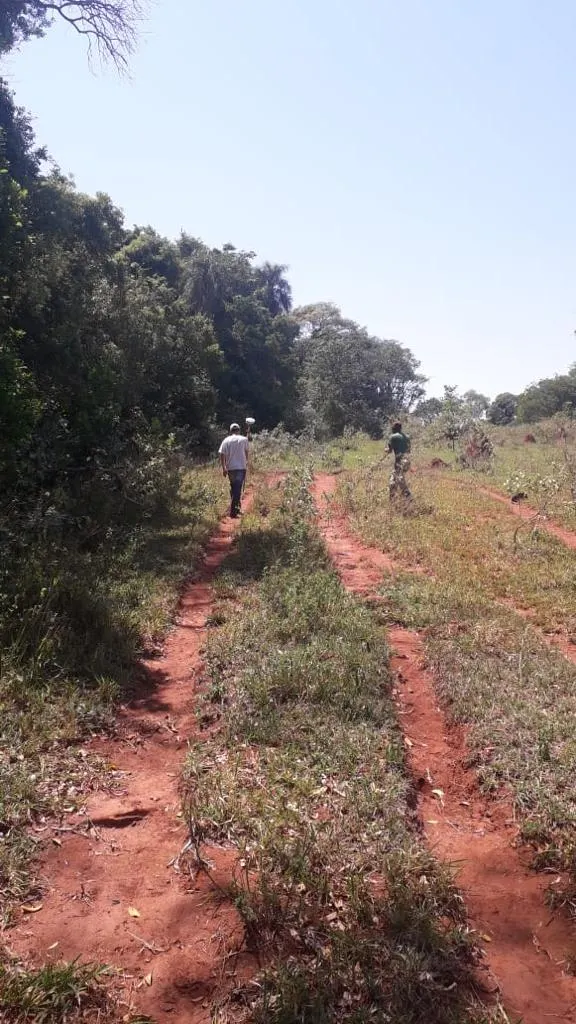 Small farm for sale of 48 acres in Avaré, SP, Brazil