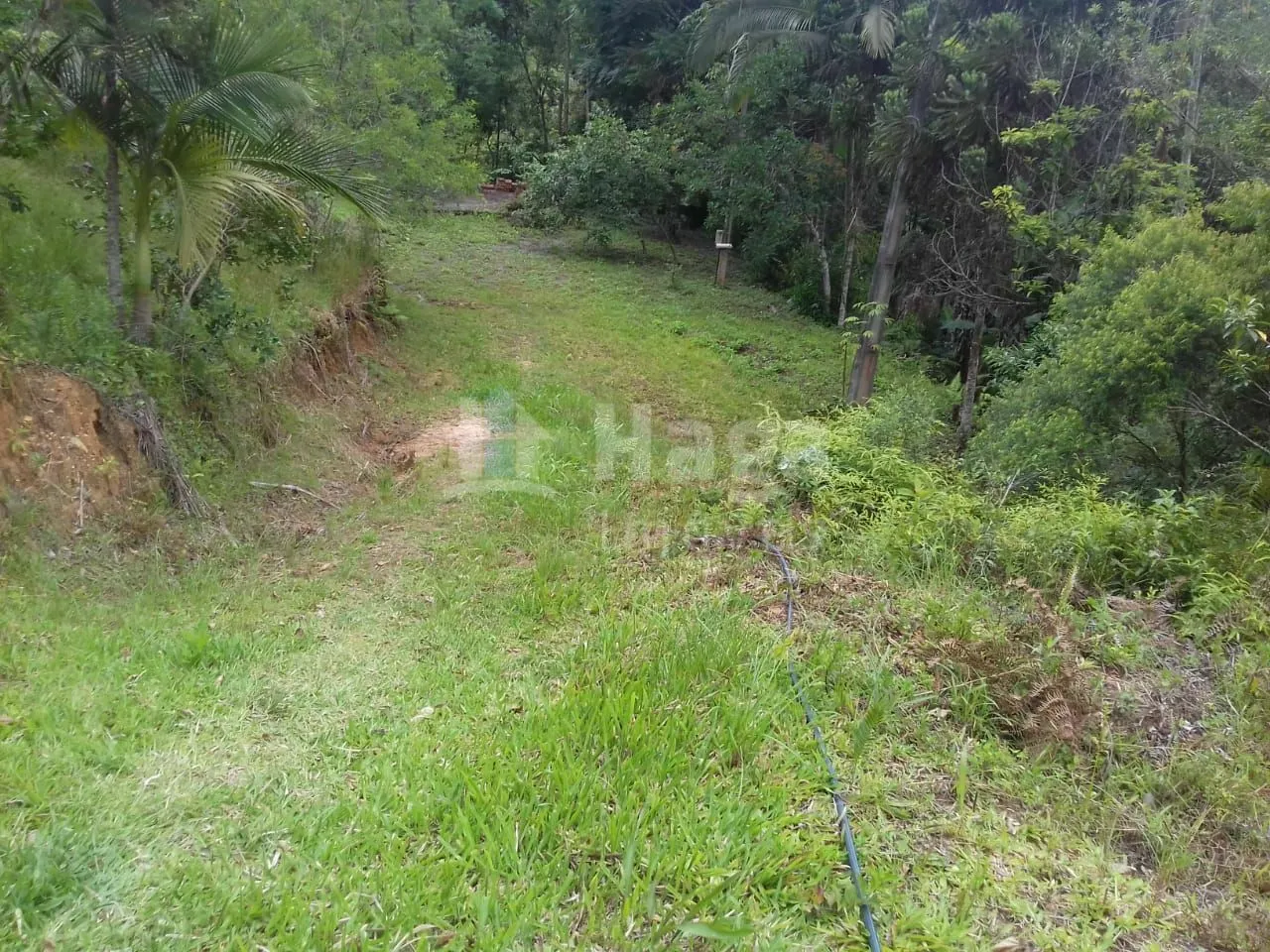 Fazenda à venda de 4.800 m² em Botuverá, SC, Brasil