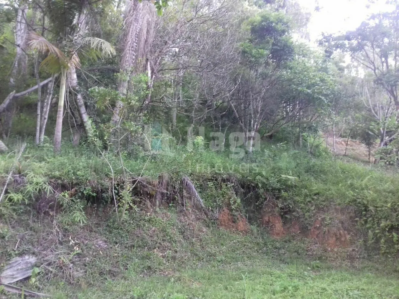 Fazenda à venda de 4.800 m² em Botuverá, SC, Brasil