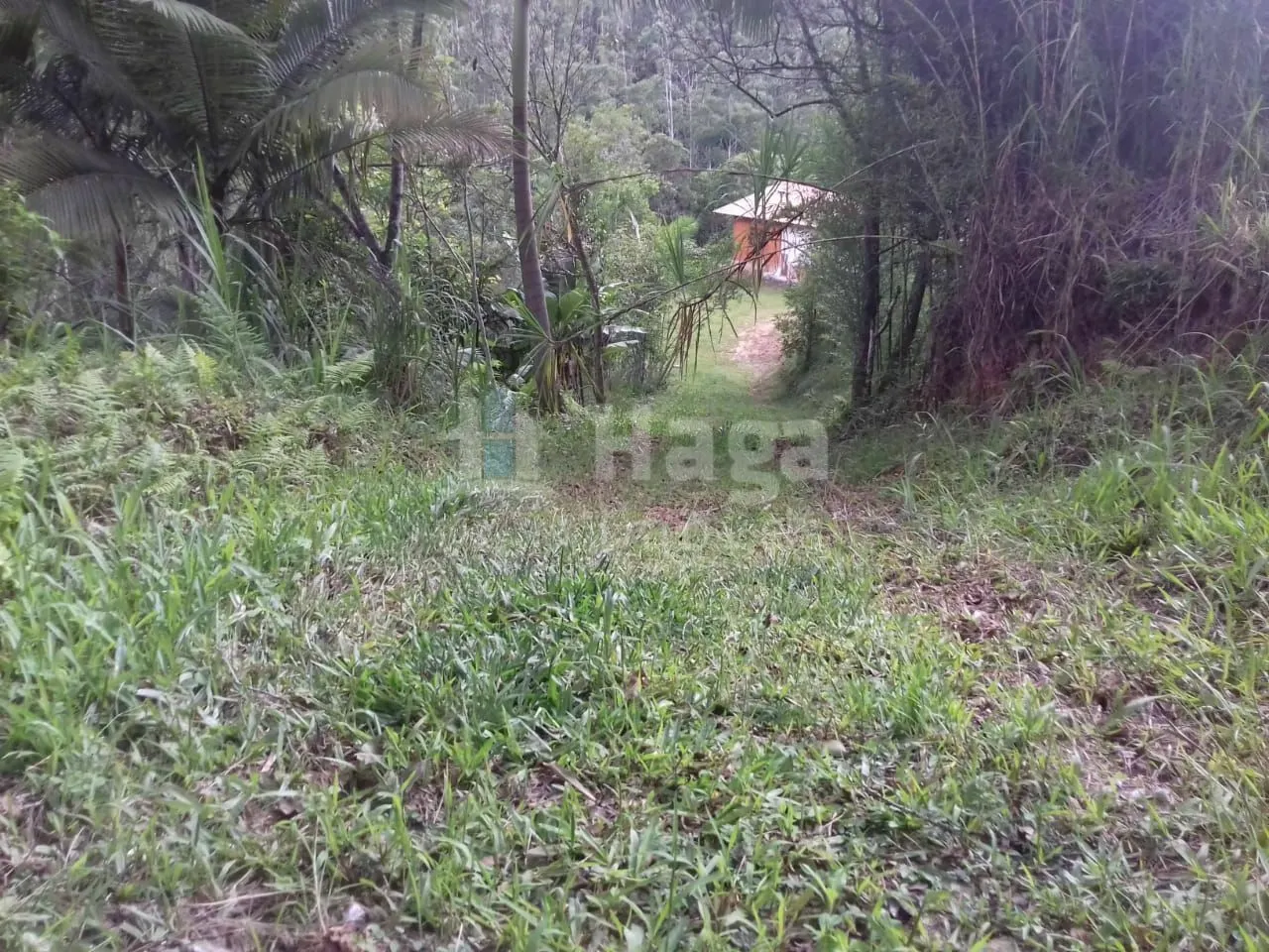 Fazenda à venda de 4.800 m² em Botuverá, SC, Brasil