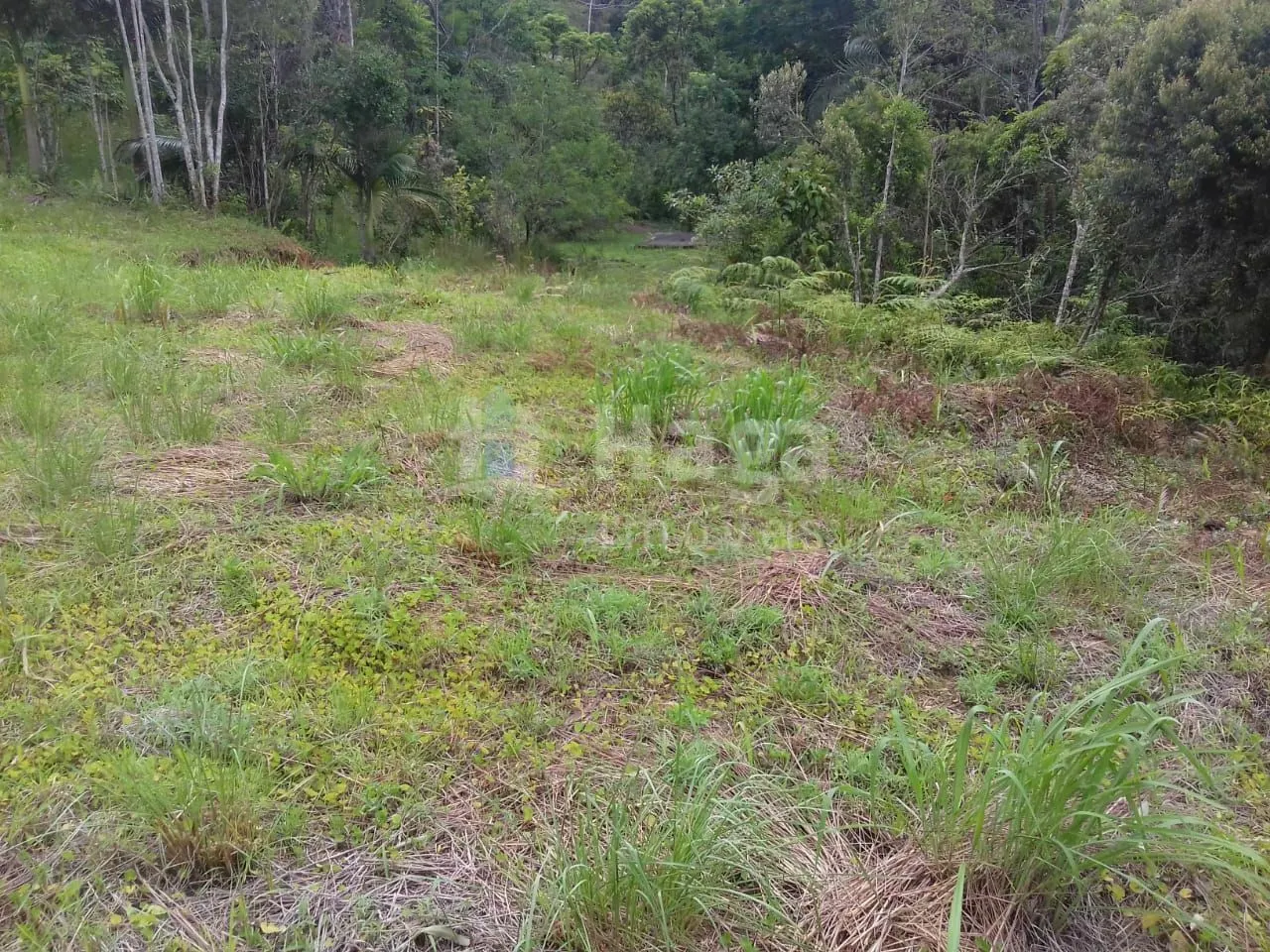Fazenda à venda de 4.800 m² em Botuverá, SC, Brasil