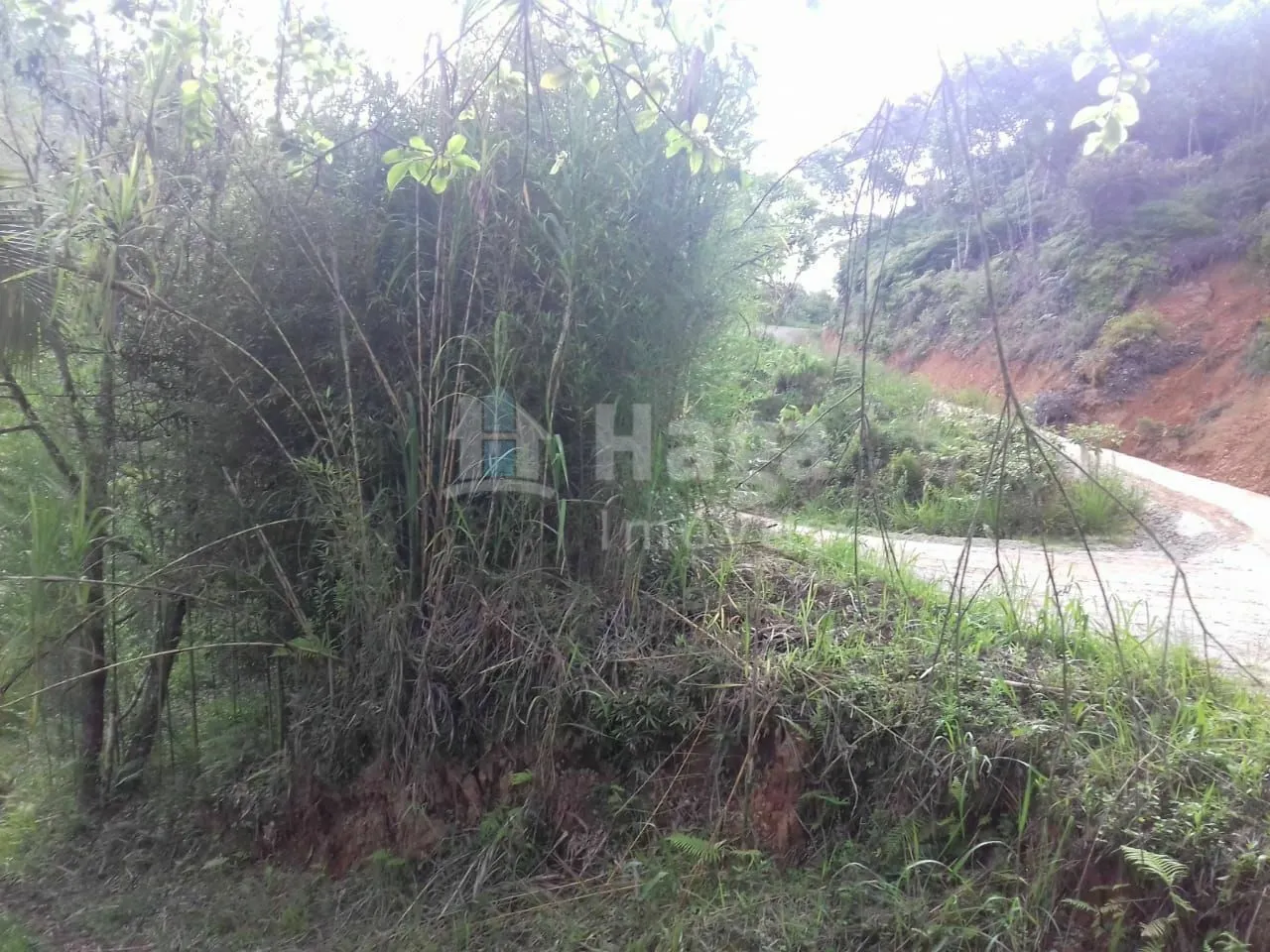 Fazenda à venda de 4.800 m² em Botuverá, SC, Brasil