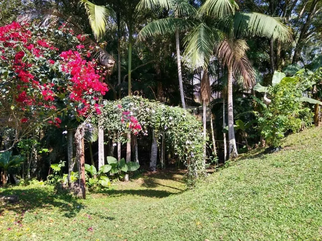 Chácara à venda de 3 ha em Camboriú, SC, Brasil