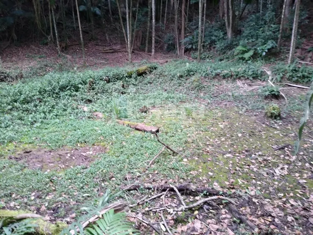Chácara à venda de 3 ha em Camboriú, SC, Brasil