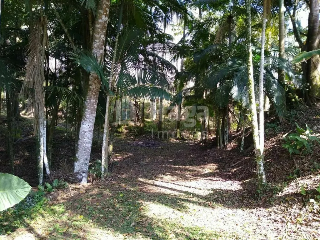 Chácara à venda de 3 ha em Camboriú, SC, Brasil