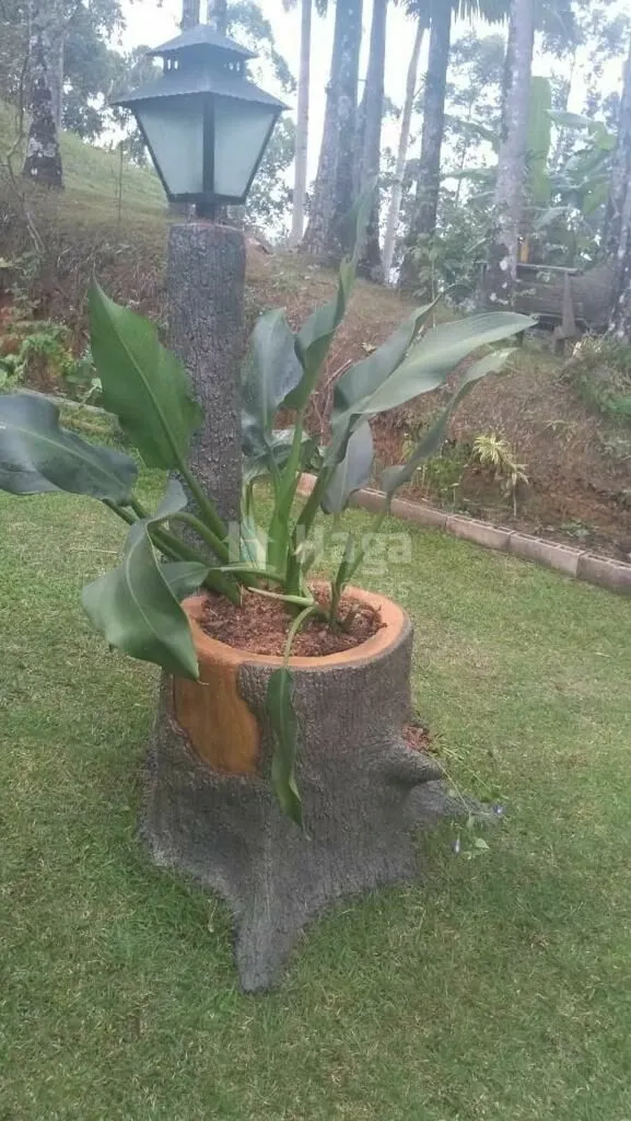 Chácara à venda de 3 ha em Camboriú, SC, Brasil
