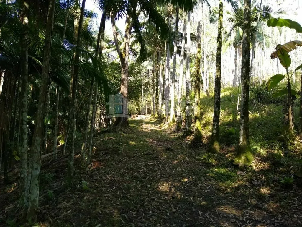 Chácara à venda de 3 ha em Camboriú, SC, Brasil