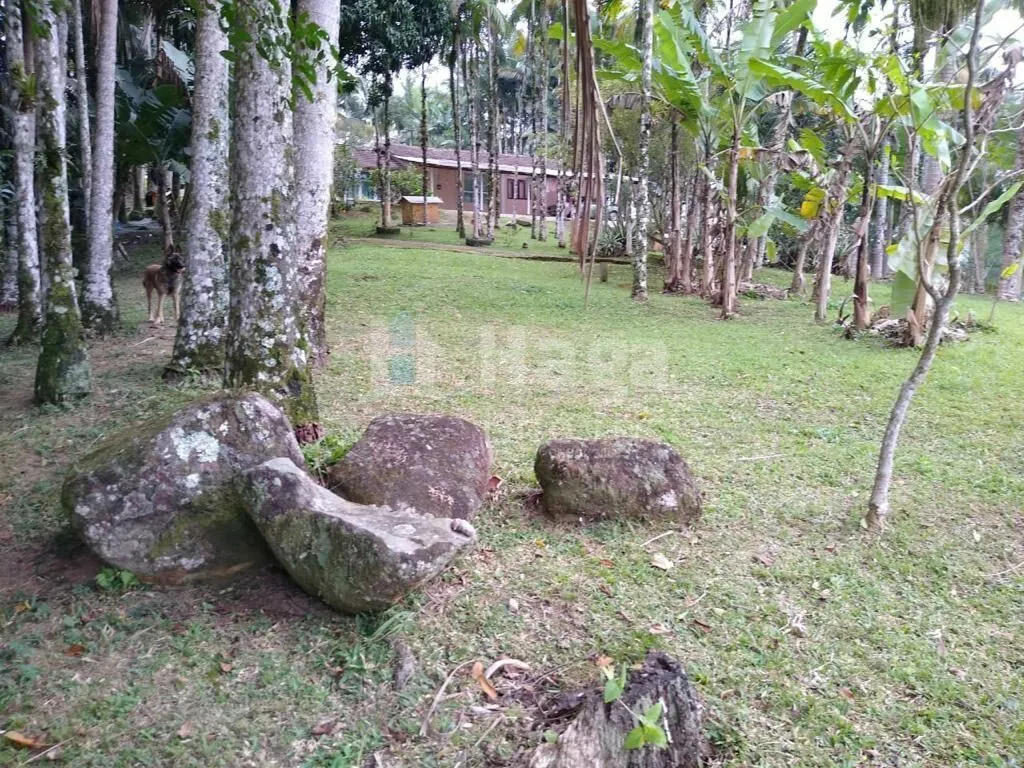 Chácara à venda de 3 ha em Camboriú, SC, Brasil