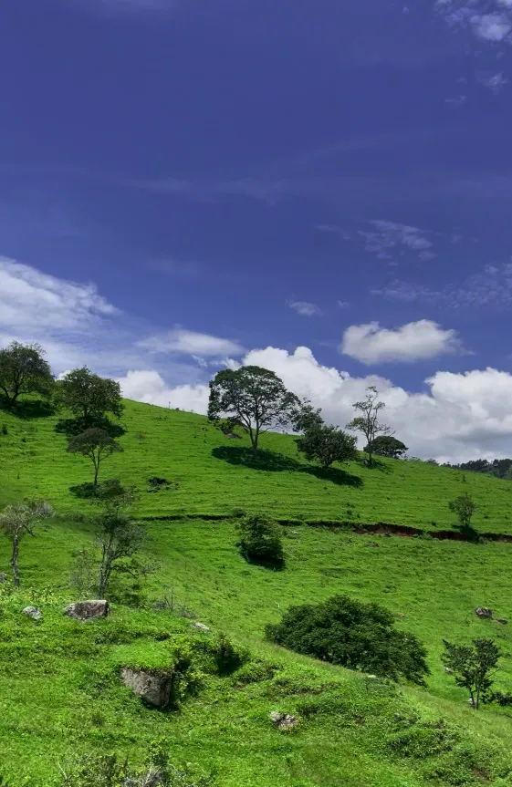 Terreno à venda de 4 m² em São Bento do Sapucaí, SP, Brasil