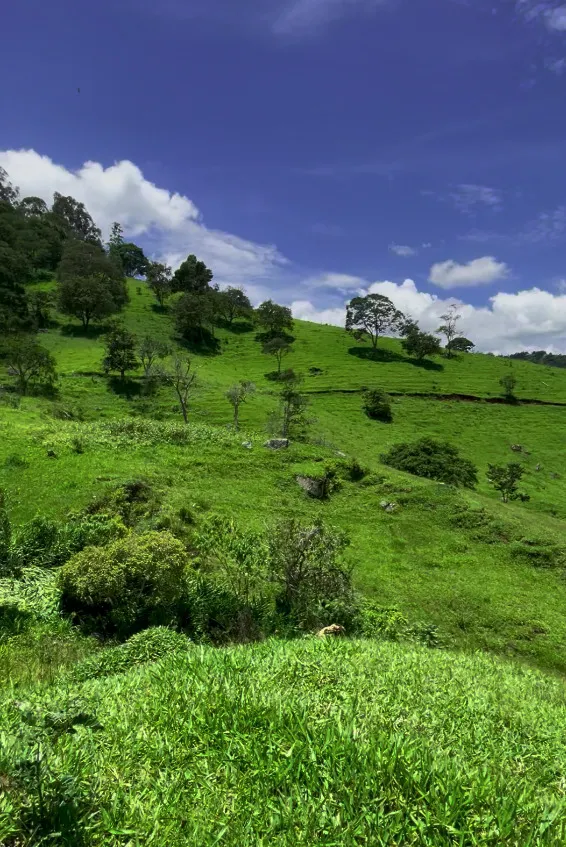 Terreno à venda de 4 m² em São Bento do Sapucaí, SP, Brasil