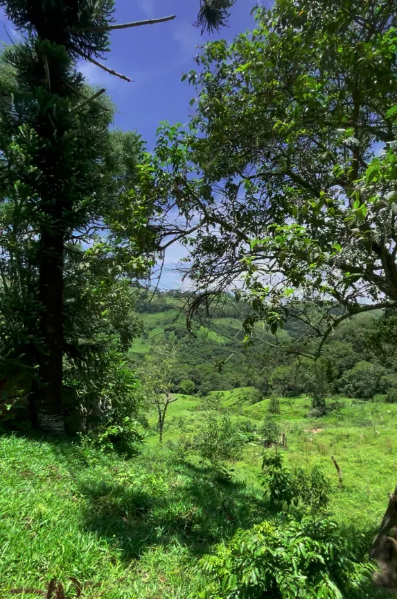 Terreno à venda de 4 m² em São Bento do Sapucaí, SP, Brasil